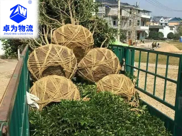樹(shù)苗，樹(shù)木運輸案例